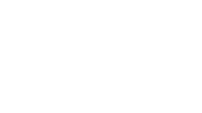 The Faces Of History