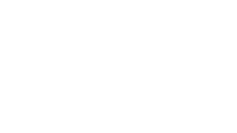 55 Adım